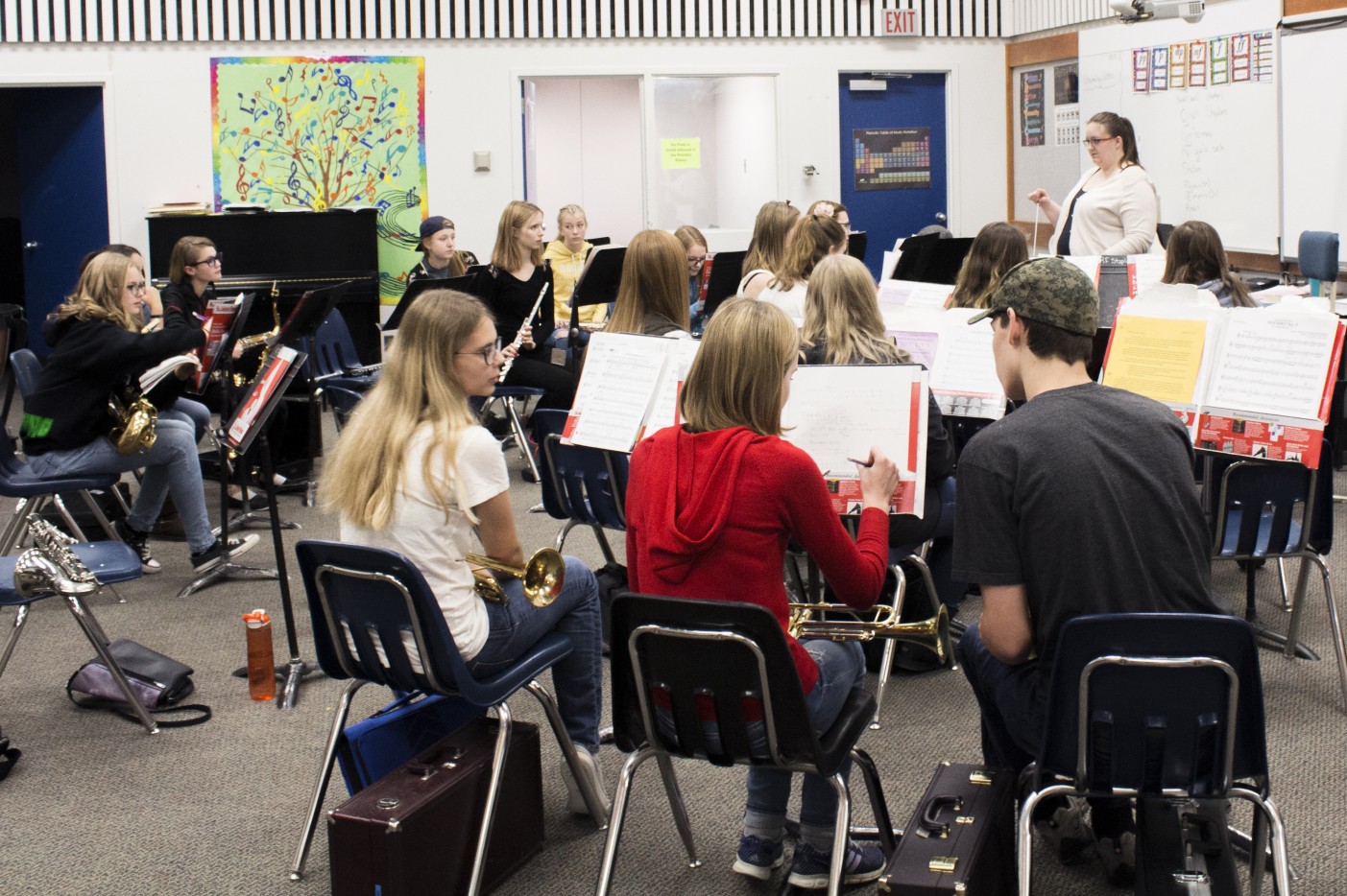 BackBand1 R.F. Staples Secondary School